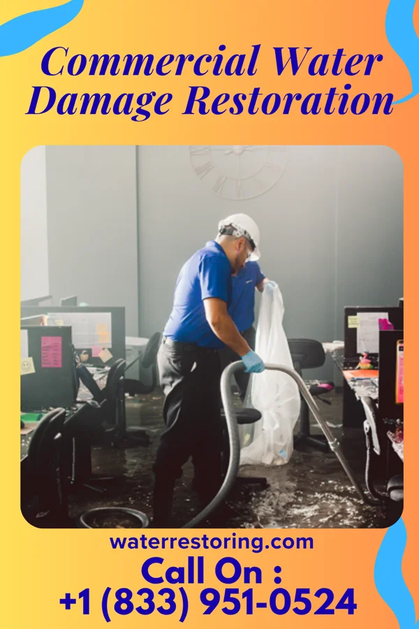 Commercial Water Damage Restoration in Folkston, GA