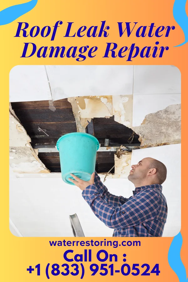 Roof Leak Water Damage Repair in Folkston, GA
